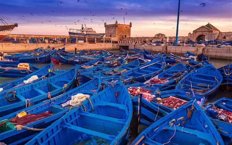 Essaouira attire un nombre record de retraités étrangers, notamment français