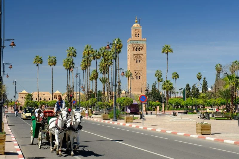 Vers la Construction Accélérée du Palais des Congrès et Parc des Expositions de Marrakech : Les 