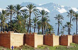 Marrakech L'Association Le Grand Atlas fait le bilan de quatre années d’activité