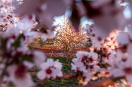 Le printemps de Ouarzazate viendra un jour