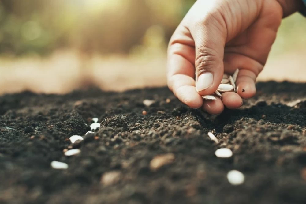 Sécheresse au Maroc : Urgence d’innover pour une agriculture résiliente