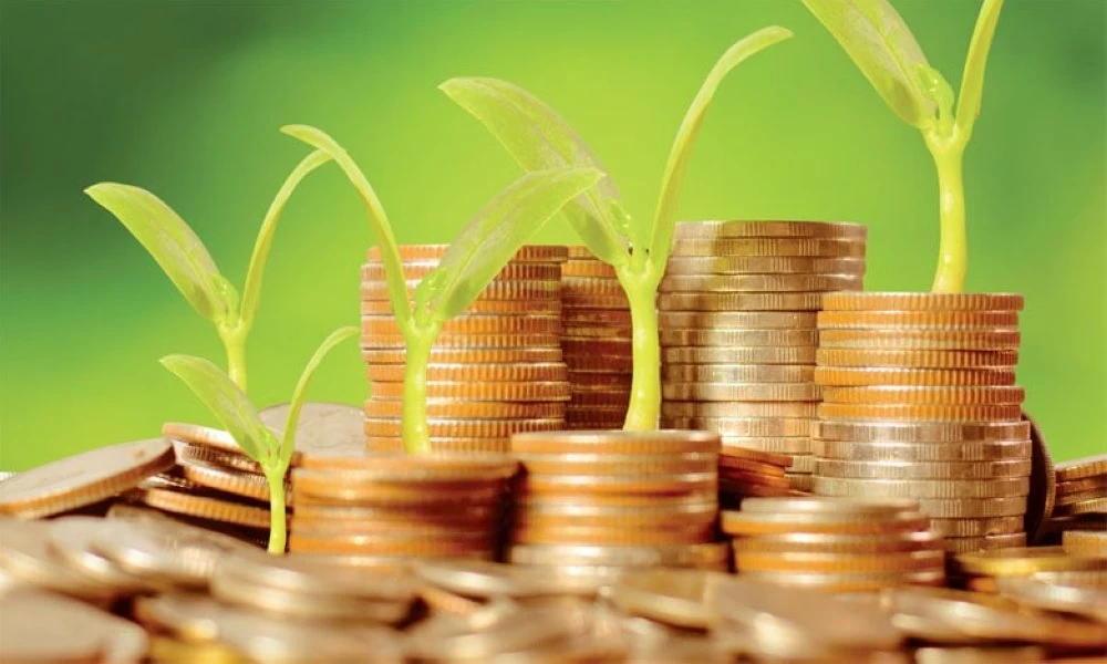 Green Forward : Enactus Morocco soutient les PME vertes