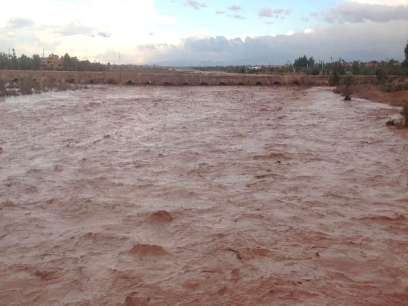 L'Agence du Bassin Hydraulique de Souss-Massa Lance une Étude Internationale pour Cartographier les Zones Inondables
