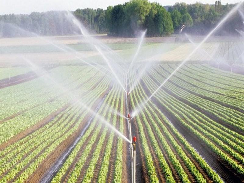 Le Maroc en fait partie : Six pays africains ont réussi à améliorer leurs récoltes en augmentant les niveaux d’irrigation