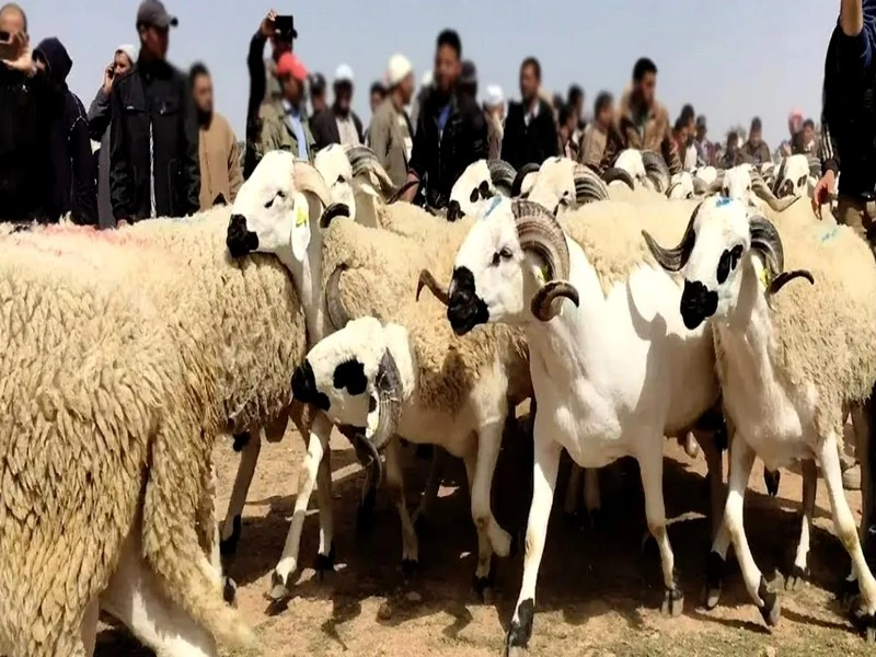 Voici la date officielle de l’Aïd Al Adha 2023/1444