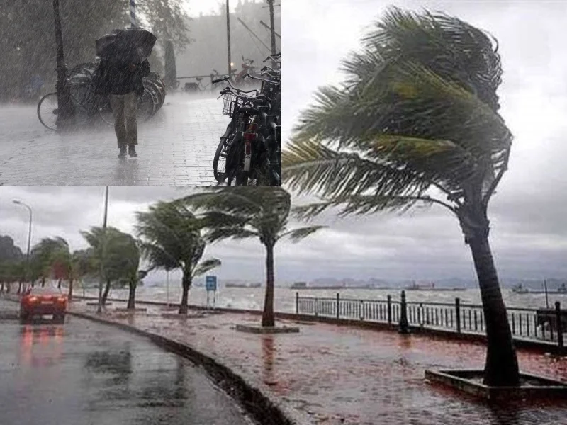 Alerte météo : fortes pluies, chutes de neige et rafales de vent au Maroc
