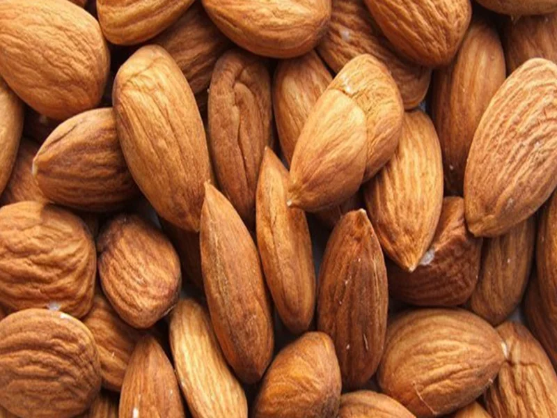 Maroc : Record d’importation d’amandes, +18% en 2024