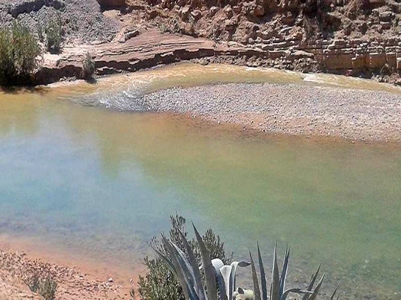 Barrages du Sebou : les réserves insuffisantes menacent l’agriculture régionale