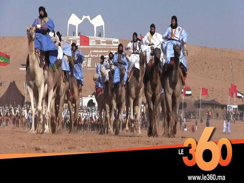 La Course de Dromadaires : Un Héritage Culturel du Moussem de TanTan