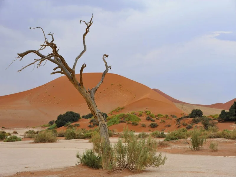 Journées de la Promotion et de l’Investissement de Dakhla : la 3e édition les 29 et 30 mai