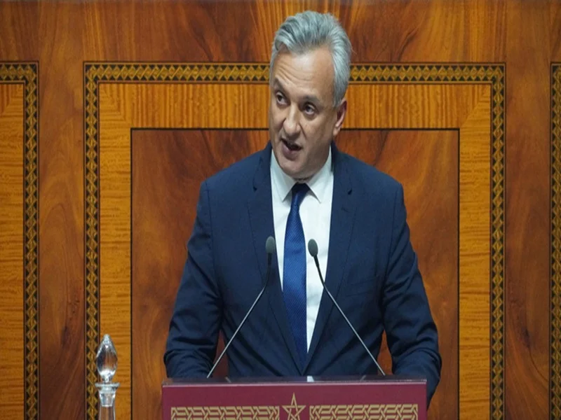 Investissements ruraux au Maroc : 59 projets approuvés pour 46 MMDH