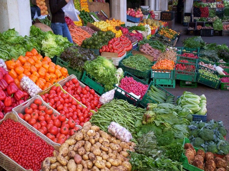 Dans le Souss, la canicule du weekend a endommagé les cultures sous serre, alerte l’Apefel