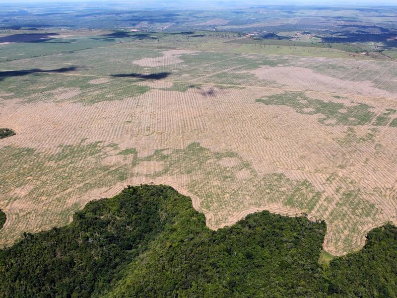 Brésil, déforestation hors de contrôle : 739 km2 de forêt amazonienne détruits rien qu’en mai 2019