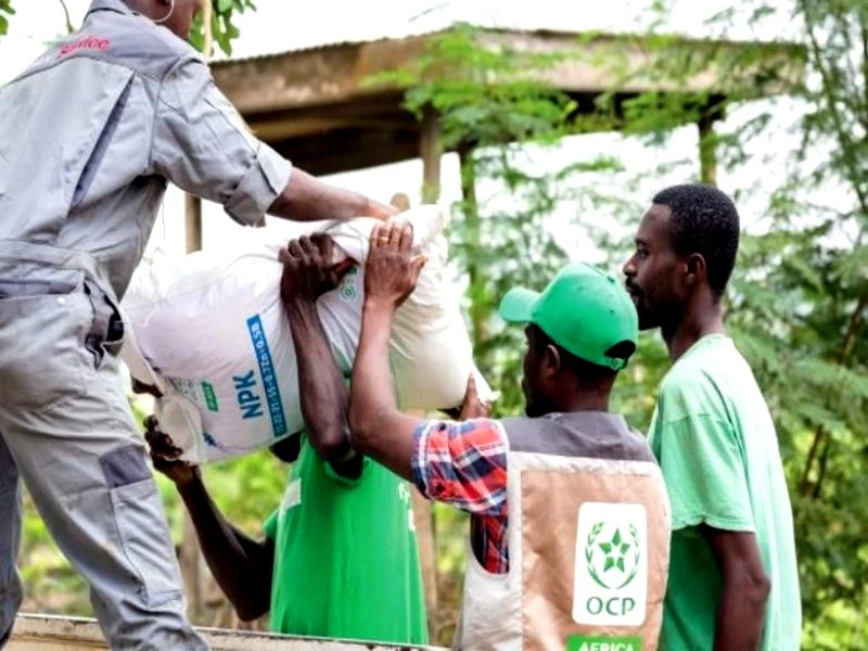 Exclusif. Phosphates : les dessous de la guerre acharnée menée en Afrique par l’Arabie Saoudite et la Russie contre le géant marocain OCP