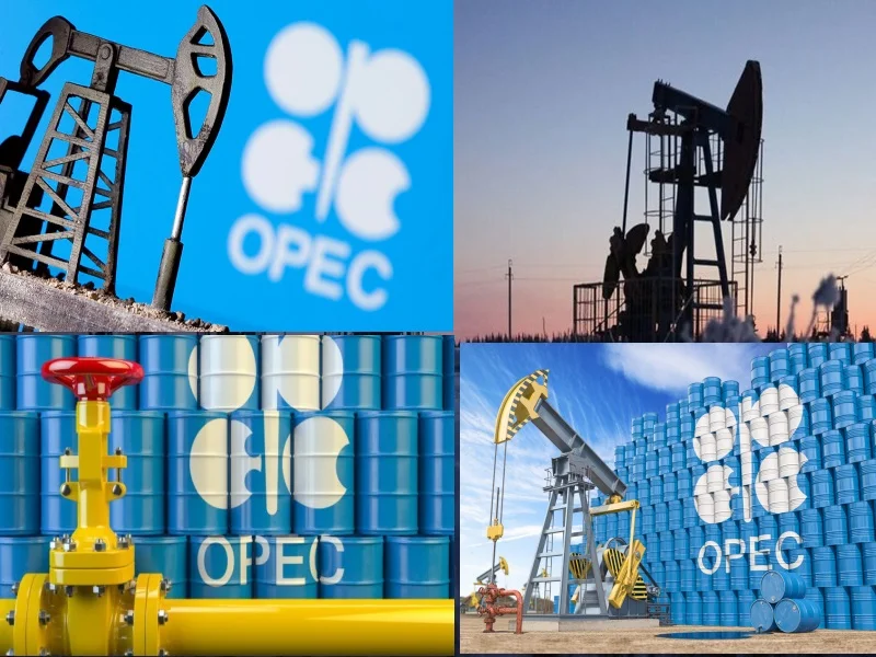 La Côte d'Ivoire se prépare à rejoindre l'OPEP suite à la découverte de nouveaux gisements de p