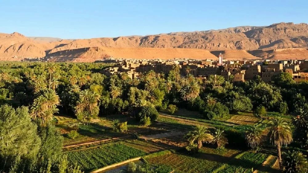 Digitalisation agricole au Maroc : le Registre national arrive à Drâa-Tafilalet