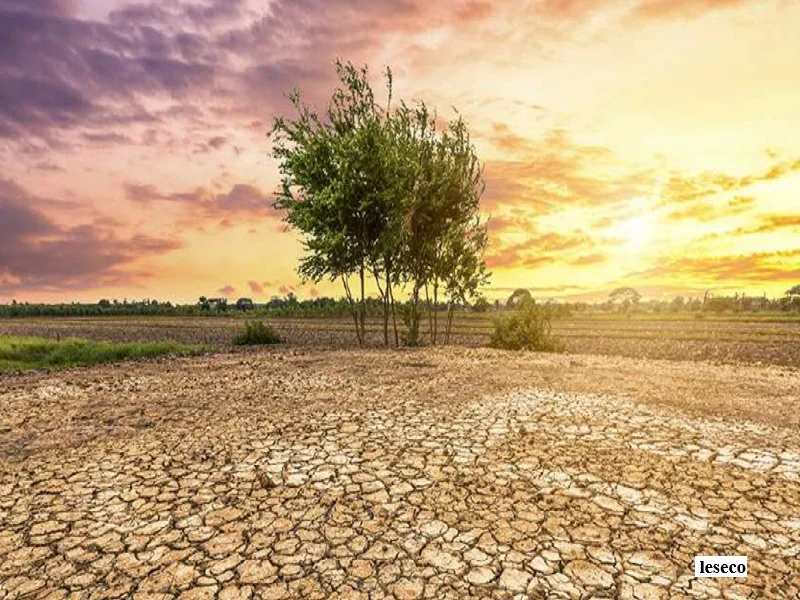 Maroc : vers un cadre juridique pour la transparence climatique et l’Accord de Paris