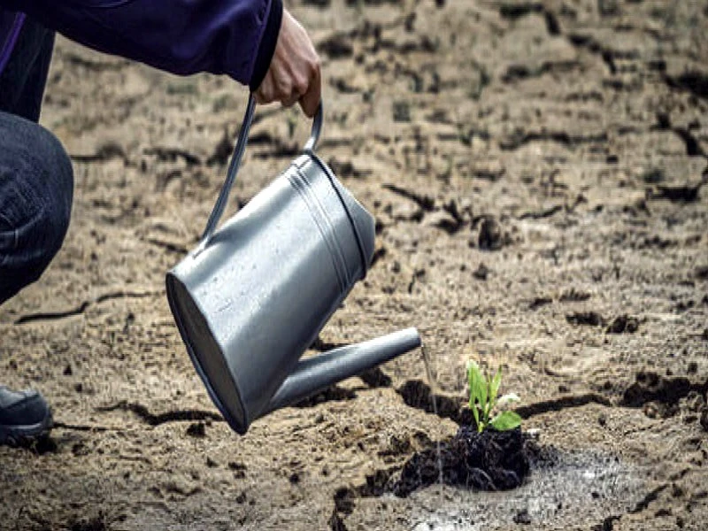 Sécheresse au Maroc : 1,9 million de migrants climatiques potentiels d’ici 2050