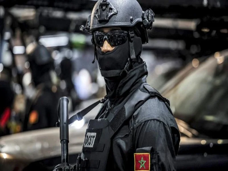 La Gestion et la Destruction des Drogues Saisies au Maroc : Une Opération Rigoureusement Encadrée
