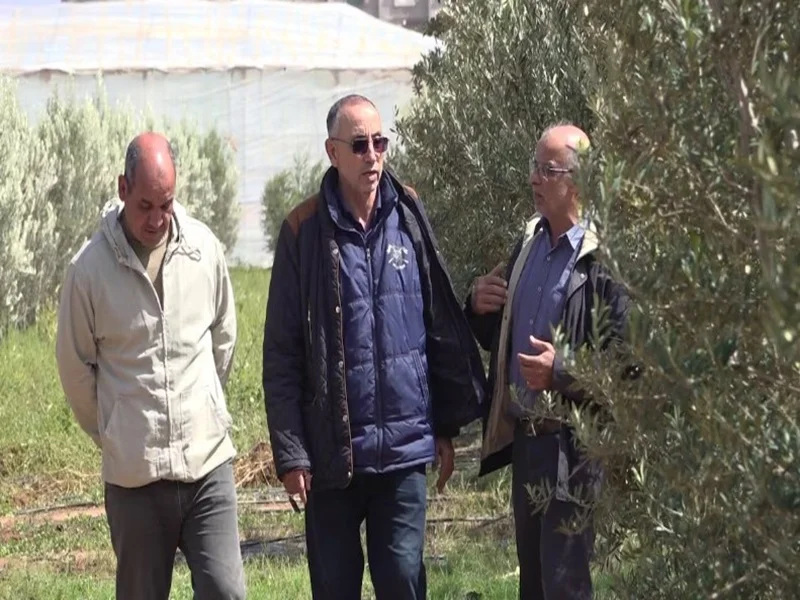 Souss-Massa : Pluies Bénéfiques, mais la Crise de l'Irrigation Persiste