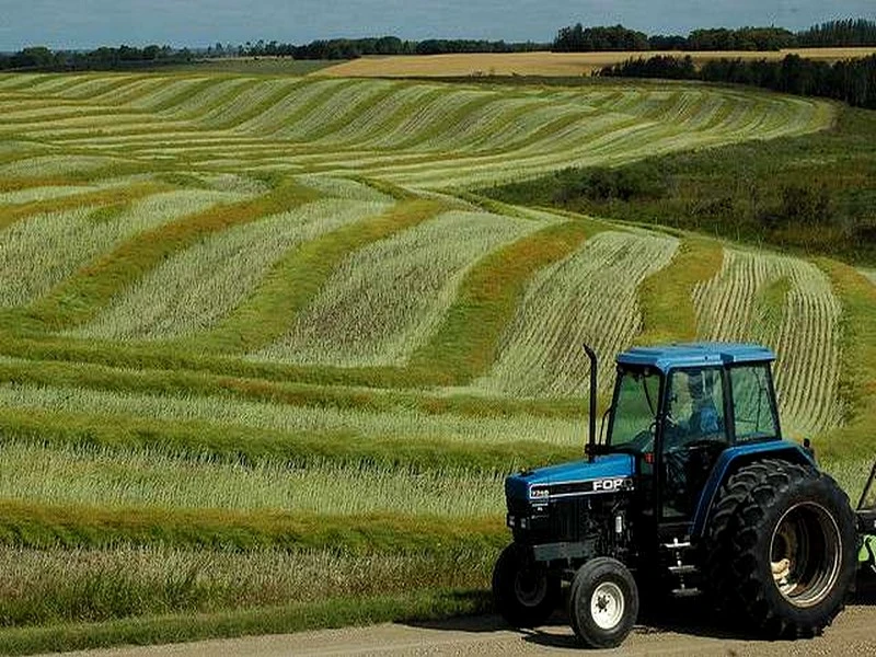 Encouragés par les récentes pluies, les agriculteurs de Meknès se lancent dans le travail de la t