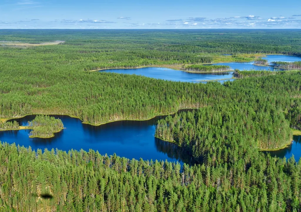 À la découverte de la plus grande forêt de la planète, et ce n'est pas l'Amazonie !