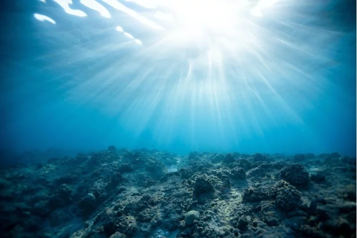 Réchauffement Historique des Océans : Un An de Températures Record  