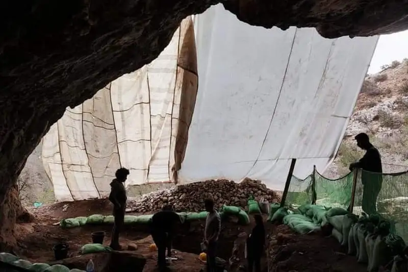 Maroc : Découverte d’un fossile du Lion de l’Atlas daté de 110 000 ans à Essaouira