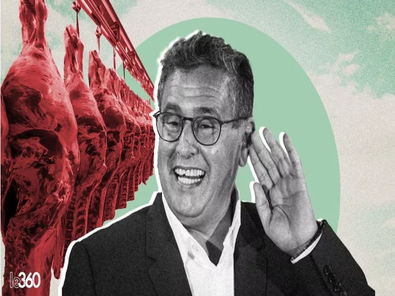 Subventions aux viandes rouges : un scandale à 13,3 MMDH