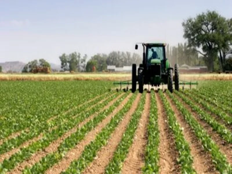 Gestion Durable de l’Eau : Vers une Agriculture Résiliente au Maroc