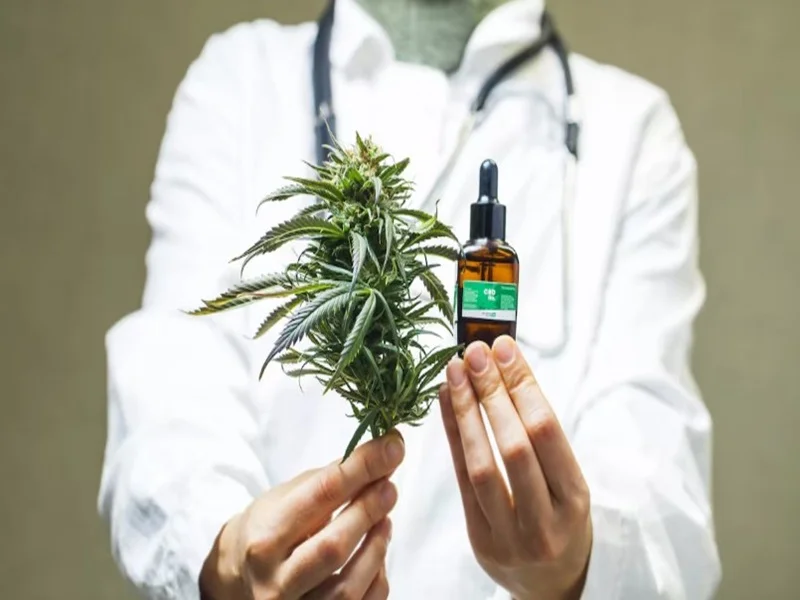 Maroc : Première exportation légale de cannabis vers la Suisse