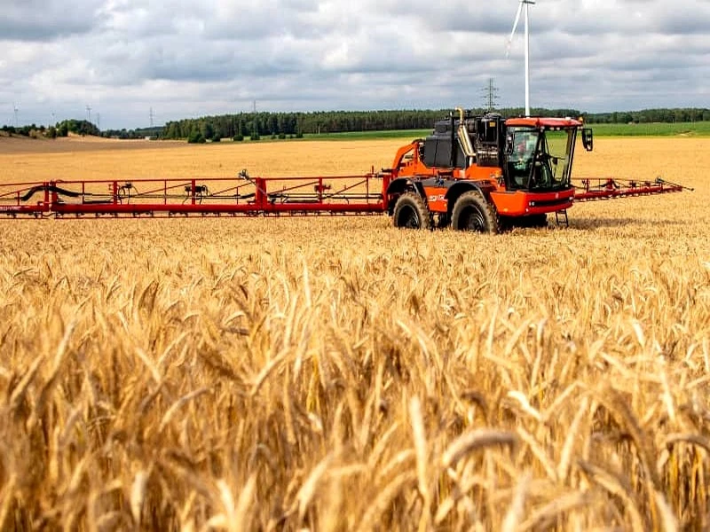 Céréales : le Maroc se fournit en Amérique du Sud