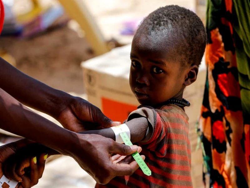 COP27 : des revues scientifiques et médicales lancent un appel à l’aide climatique pour l’Afri