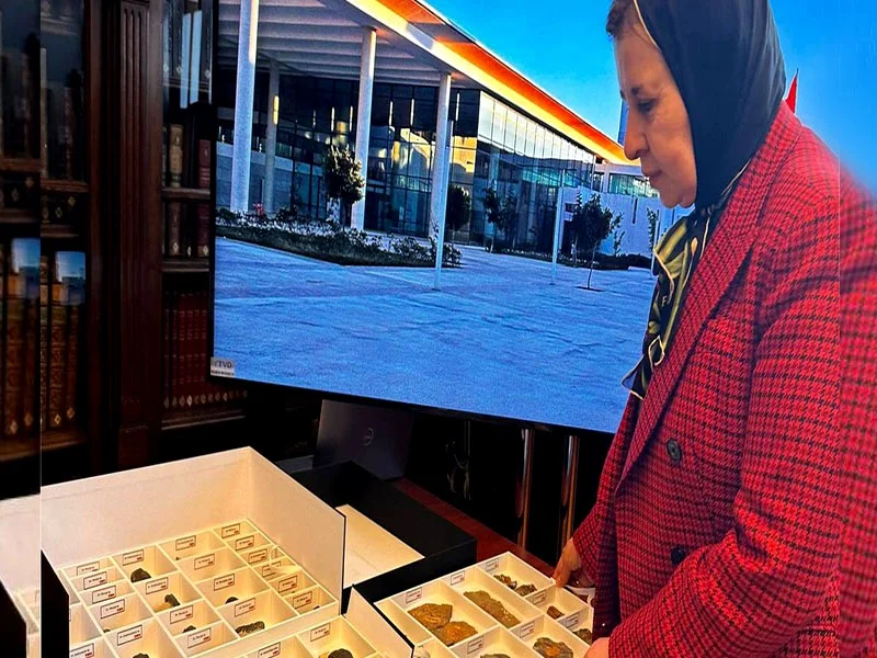 Restitution de 117 Fossiles Rares au Maroc par les Autorités Chiliennes