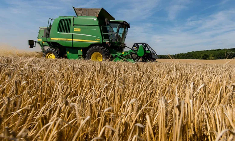 La production céréalière prévisionnelle de la campagne agricole 2021-2022 en baisse de 69%