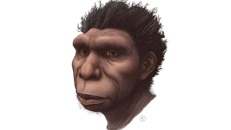 Homo bodoensis : la nouvelle espèce qu'un groupe de scientifiques considère comme 
