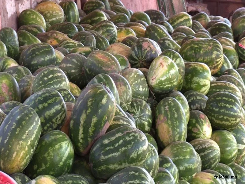 Pastèques au Maroc : l’ONSSA rassure, les doutes persistent