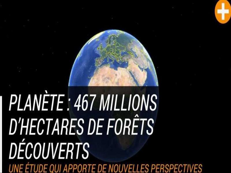 Surprenant : 467 millions d’hectares de forêts nouvellement découverts sur notre planète!