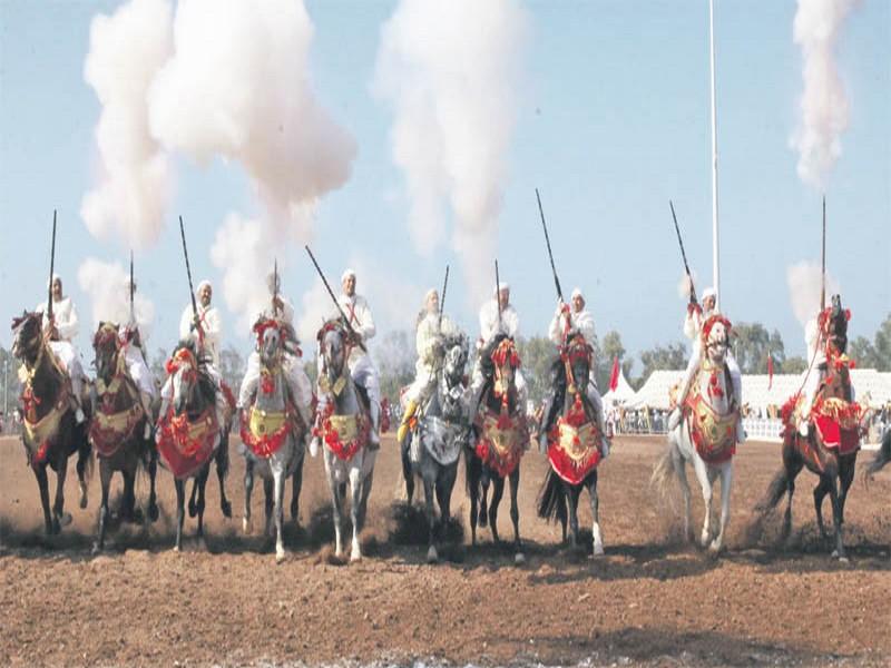 Salon du cheval Les arts équestres traditionnels à l’honneur