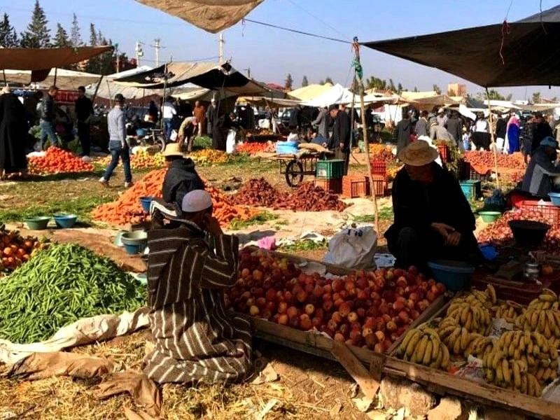 Distribution et commercialisation des produits agricoles : La mission exploratoire livre ses recommandations