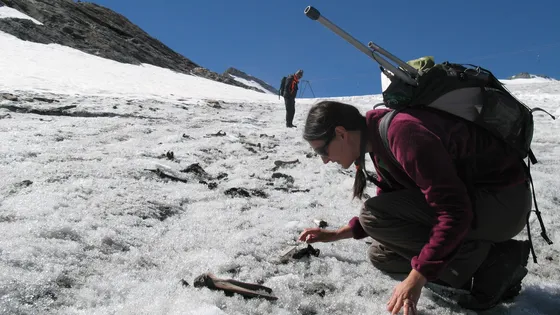 #Archeologie_Glaciaire : Le piège de cristal, l'archéologie révélée par la fonte des glaciers