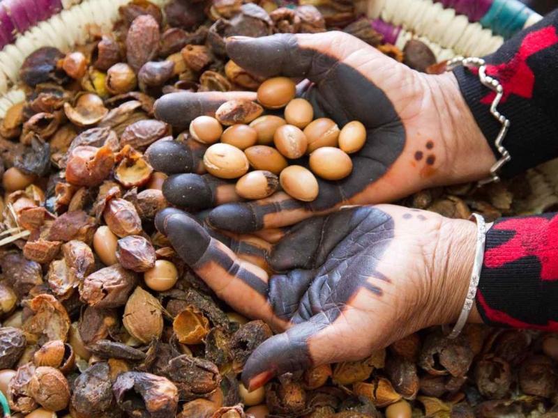 Moussem Sidi M’hamed ben Amar à la C.R. Asrir