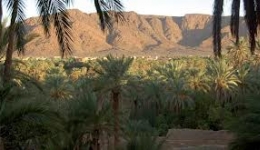 Le tourisme oasien au Sahara   culture, aventure et investissements à Guelmim
