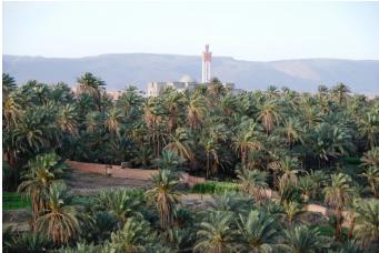 Assa Zag Réalité d’une promotion touristique pour le Maroc de demain