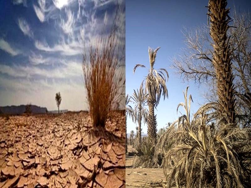 Alerte climatique : Le Maroc face à une vague de chaleur sans précédent annoncée par El Niño