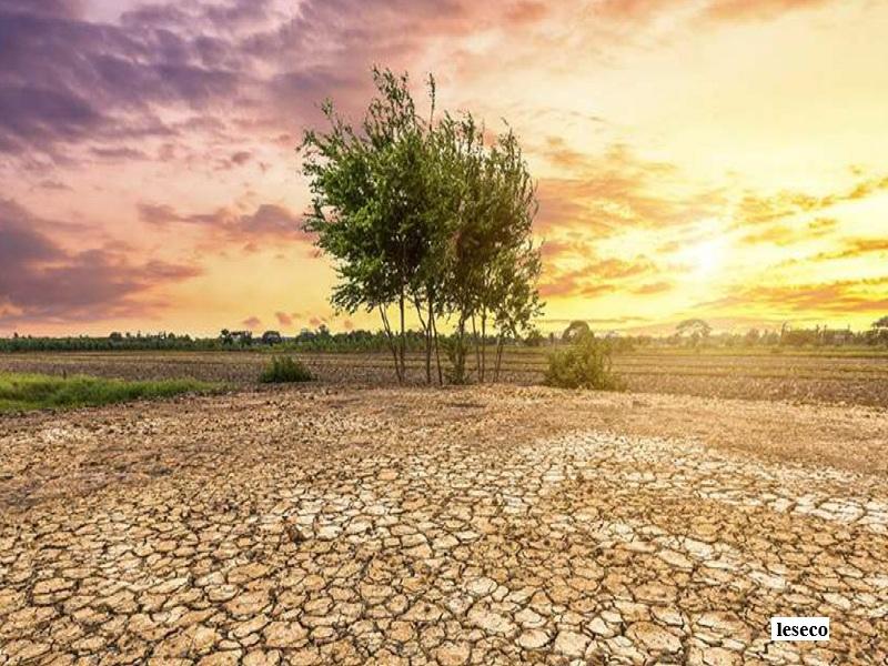 Environnement