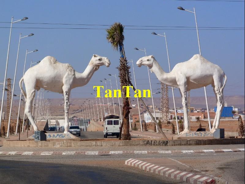 TanTan