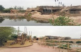 AGADIR LES CROCODILES DU NIL ARRIVENT