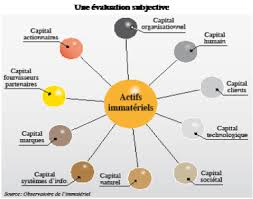 CAPITAL IMMATÉRIEL, QU’EST-CE QUE C’EST ?  LES ENTREPRISES PEU SENSIBLES À LA QUESTION