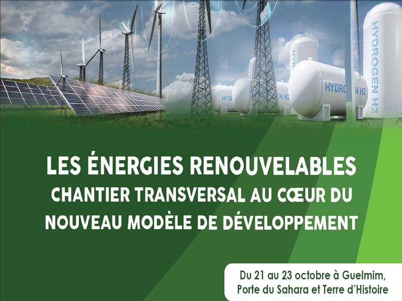 La transition énergétique chantier transversal au coeur du Nouveau Modèle de Développement